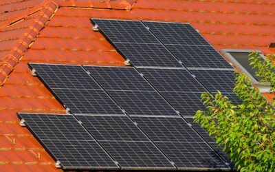 Shining a Light on Solar Panels: How Buyers Navigate Real Estate Transactions Involving Solar Panels